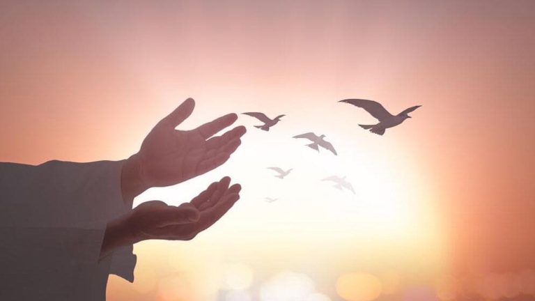 জান্নাতে কি আফসোস থাকবে? ইসলাম কী বলে এই বিষয়ে