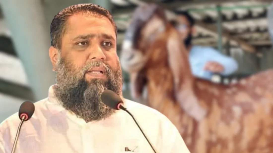 জামিন পেলেন সাদিক অ্যাগ্রোর ছাগল কান্ডে আলোচিত সেই ইমরান