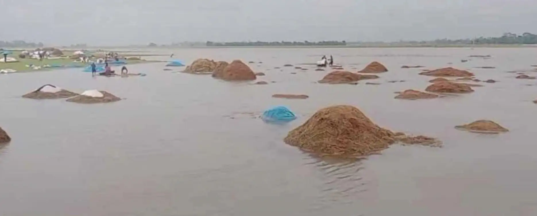চার উপজেলায় ২৭৪০ হেক্টর ধান পানির নিচে, চরম দুশ্চিন্তায় কৃষক