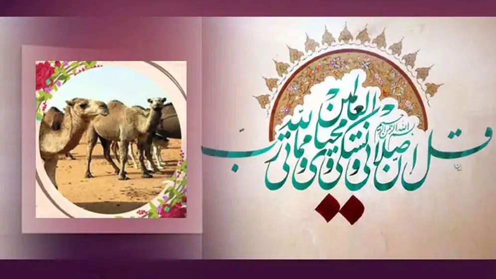 সামর্থ্যবানদের জন্য কুরবানি কেন জরুরি