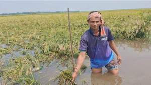 নেত্রকোনায় অকাল বন্যার শঙ্কা