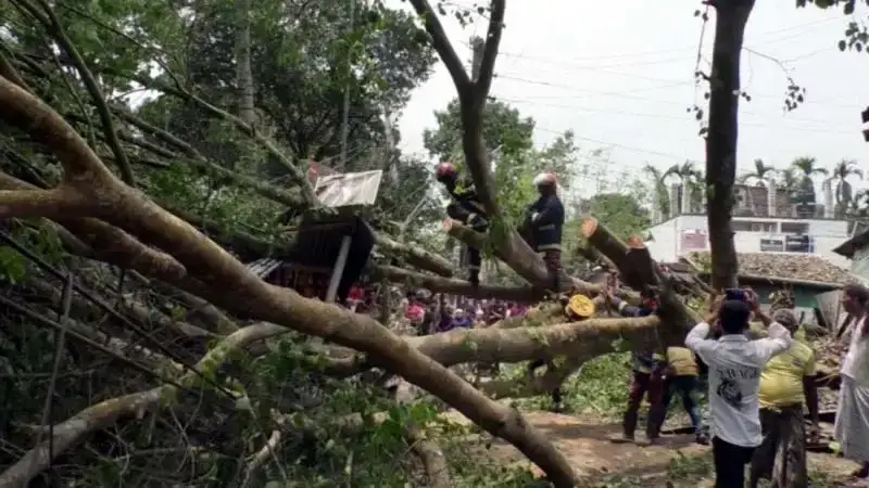 কালবৈশাখীর তাণ্ডবে চান্দিনায় লণ্ডভণ্ড জনজীবন, বজ্রপাতে নারীর মৃত্যু