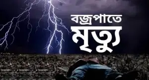 বজ্রপাতে নারীসহ চারজনের মৃত্যু, অর্ধশত গরুও প্রাণ হারাল