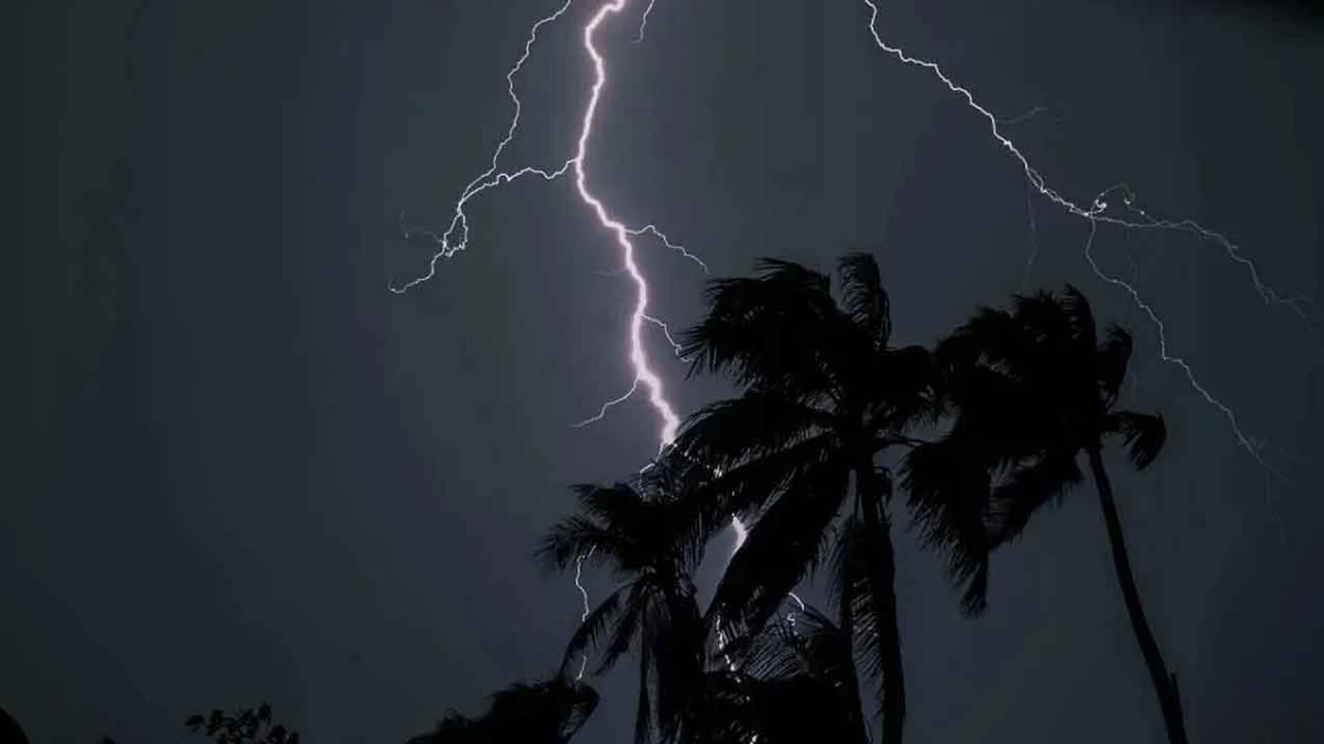 রাতের মধ্যে ঝড়ো হাওয়া, ৬০ কিমি বেগে দমকা হাওয়ার আভাস