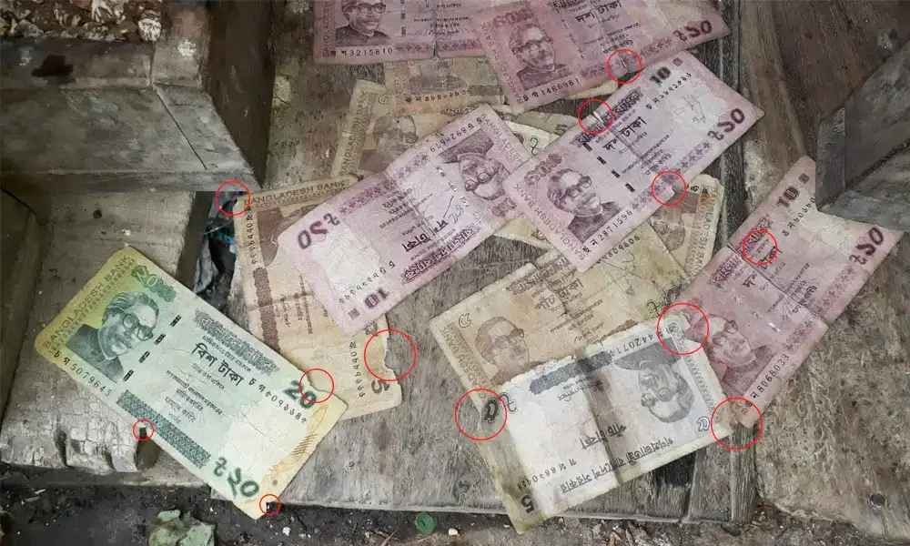 টাকা যেন জীবাণুর কারখানা, একাংশ পোড়ে কারা?