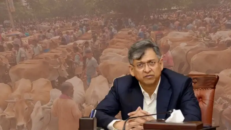 পশুর হাটে চাঁদাবাজি ঠেকাতে হটলাইন চালুর ঘোষণা, চাঁদাবাজির তথ্য দিলেই ব্যবস্থা নেয়া হবে জানালেন স্বরাষ্ট্রমন্ত্রী