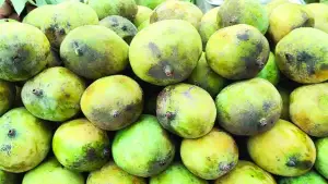 বাজারে বিষমাখা আম-লিচুর ছড়াছড়ি