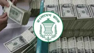 মে মাসের শুরুতেই রেমিট্যান্সে জোয়ার, ৩ দিনে এলো ৩১.৫ কোটি ডলার