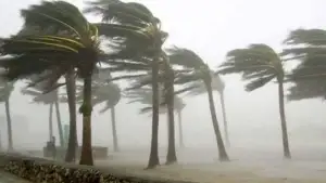ঢাকাসহ ৭ অঞ্চলে ঝড়-বৃষ্টির পূর্বাভাস, ১ নম্বর সংকেত জারি