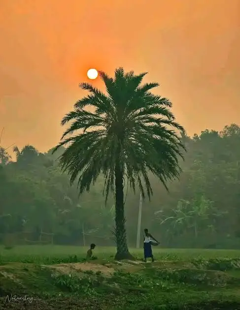 শুভ সকাল