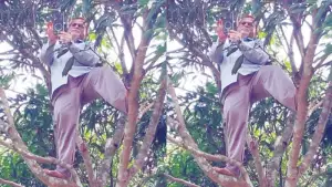 অনলাইন হাজিরা দিতে আমগাছের মগডালে উঠলেন রাঙামাটির শিক্ষক