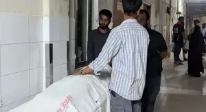 আমগাছে উঠে ব্রাজিলের পতাকা টাঙানোর সময় বিদ্যুৎ’স্পৃষ্ট হয়ে মর্মা’ন্তিক মৃ’ত্যু