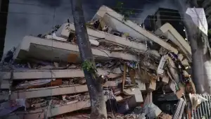 ৩৯ সেকেন্ডে দুই শক্তিশালী ভূমিকম্প, ভেনেজুয়েলায় বহু হতাহতের আশঙ্কা