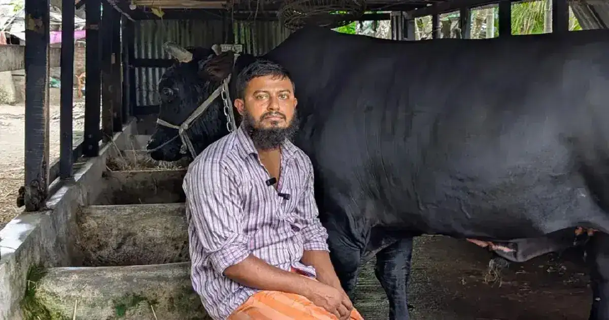 খালেদা জিয়াকে ‘কালো মানিক’ উপহার দিতে চাওয়া সোহাগ মৃধা গ্রেপ্তার