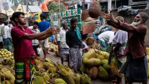 চীনে রপ্তানি হচ্ছে বাংলাদেশের কাঁঠাল, যে কারণে বাড়ছে আগ্রহ