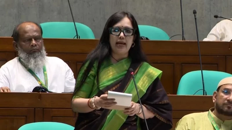 গত ১৫ বছর ব্যাংক খাতকে রাজনৈতিক হাতিয়ার বানানো হয়েছে: রুমিন ফারহানা