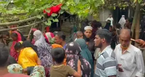 নরসিংদীতে পুকুরে ডুবে একই পরিবারের তিন শিশুর মর্মান্তিক মৃত্যু
