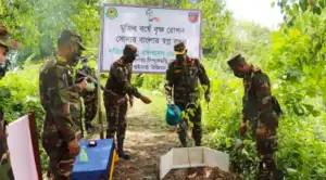 পরিবেশ রক্ষায় দেশজুড়ে ১১ লাখ ৩৬ হাজার চারা রোপণ করবে সেনাবাহিনী!