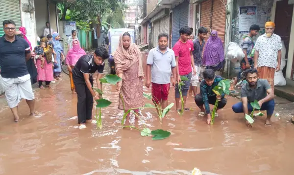 ১৪ বছরেও সংস্কার হয়নি সড়ক, কচুগাছ লাগিয়ে ব্যতিক্রমী প্রতিবাদ এলাকাবাসীর