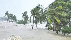 টানা বৃষ্টি ও উজানের ঢলে বন্যা পরিস্থিতি, বিপৎসীমার ওপর পাঁচ নদীর পানি