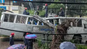 টানা বৃষ্টিতে জবি ক্যাম্পাসে উপড়ে পড়ল গাছ, দুমড়ে-মুচড়ে গেল বিশ্ববিদ্যালয়ের বাস