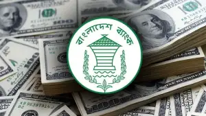 ২০ দিনেই ২০১ কোটি ডলারের বেশি রেমিট্যান্স, প্রবৃদ্ধি ২৩ শতাংশ