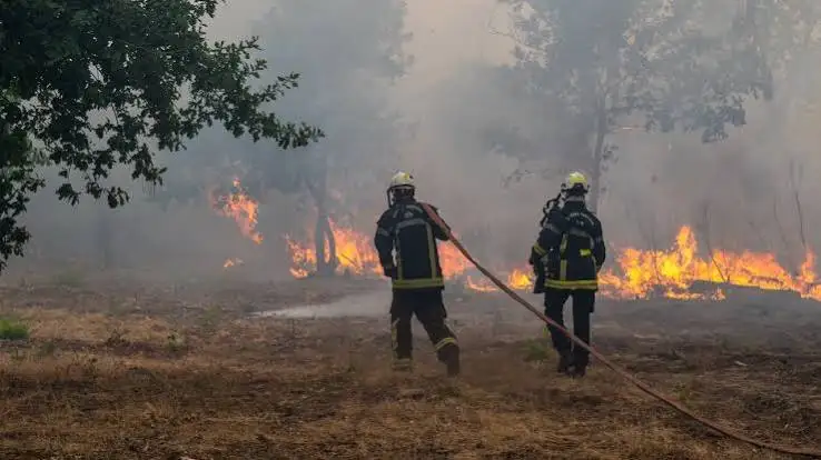 ফ্রান্স-স্পেনে ভয়াবহ দাবানল, নিরাপদে সরানো হলো ২ লাখ ৬০ হাজারের বেশি মানুষ