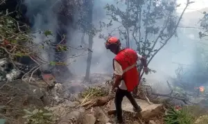 কেনিয়ায় হেলিকপ্টার বিধ্বস্ত, স্ত্রীসহ ইকুয়েডরের গোয়েন্দাপ্রধান নিহত