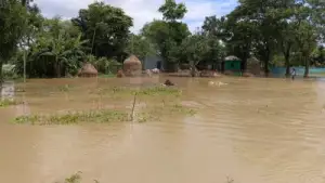 ভারত থেকে আসা পাহাড়ি ঢলে আখাউড়ায় জলাবদ্ধতা, তলিয়ে গেছে ফসলি জমি