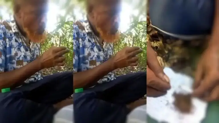 লক্ষ্মীপুরে বিএনপি নেতার গাঁ/জা-ই/য়াবা সে/বনের ভিডিও ছড়াল ফেসবুকে