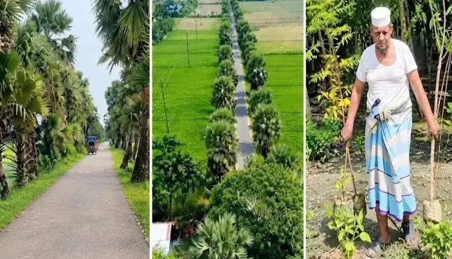 তিন দশক ধরে গাছ লাগাচ্ছেন ইমাম, একমাত্র লক্ষ্য আল্লাহর সন্তুষ্টি