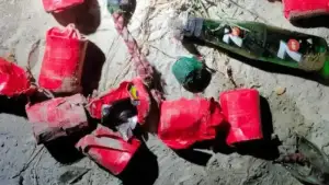 পুরাতন বাণিজ্য মেলার মাঠে ২০টির বেশি ক’কটেল-পে’ট্রোল বো’মা উদ্ধার