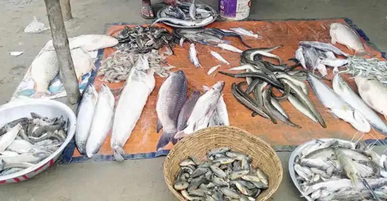 দৃষ্টিশক্তি হারিয়েও হার মানেননি আশরাফুল, ভিক্ষার জন্য হাত না পেতে করছেন মাছ বিক্রি!