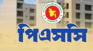 ৪৯তম বিসিএসে বাদ পড়া ৪৬ জনের গেজেট সোমবার