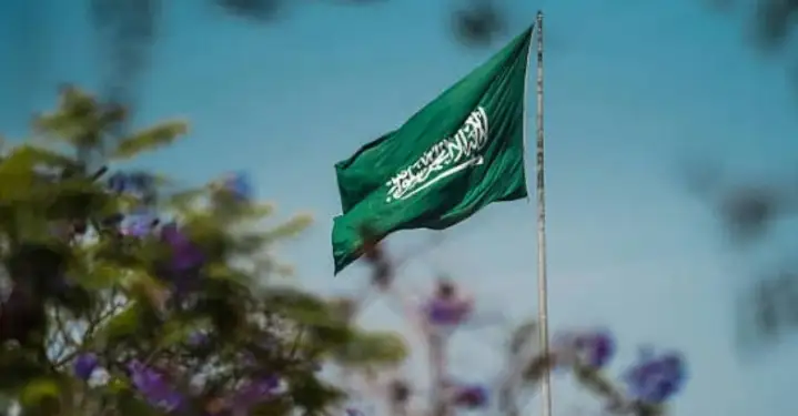 ১০ হাজার প্রবাসীকে ফেরত পাঠাল সৌদি আরব