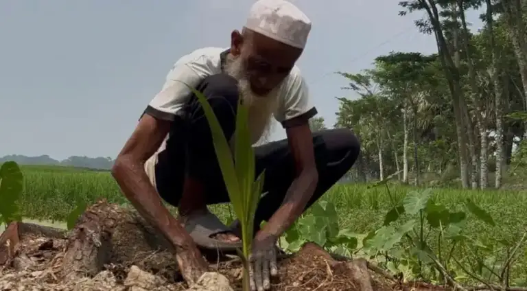 ৭০ বছর ধরে গাছ লাগিয়ে সবুজ করেছেন দেশ, আজ চিকিৎসার অভাবে অসহায় সিরাজুল