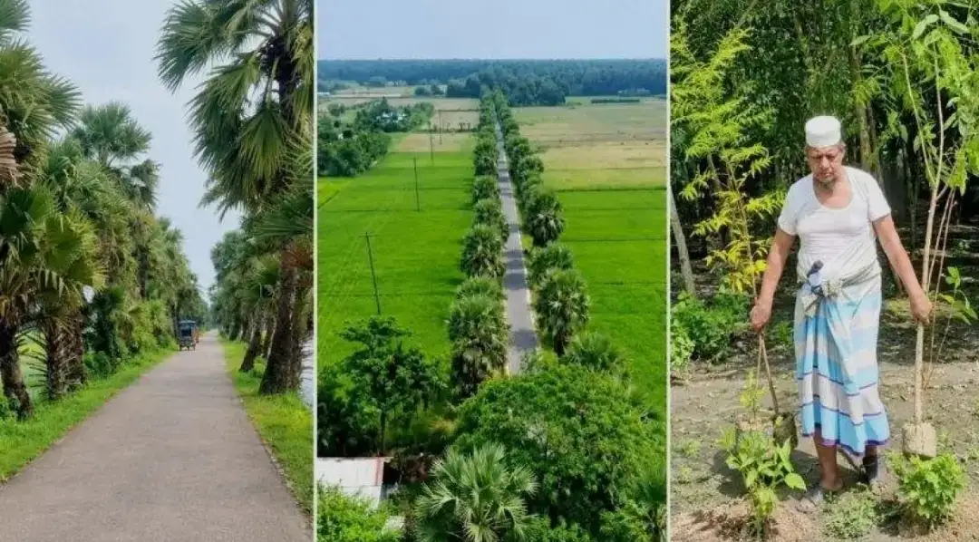 ৩০ বছর ধরে গাছ লাগিয়ে গ্রামের সড়কের চিত্র বদলে দিলেন মসজিদের ইমাম