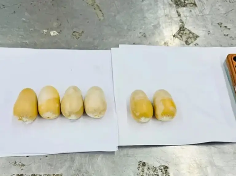 শাহজালাল বিমানবন্দরে দুই যাত্রীর পায়ু পথে মিললো ৬টি সোনার ডিম