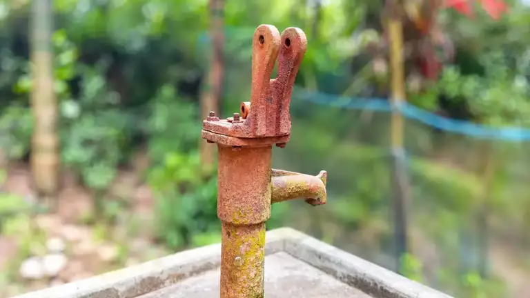 সন্ধ্যার পর আত’ঙ্কে নওগাঁর চার গ্রাম, মা’দকের বিস্তারে বাড়ছে চু’রি