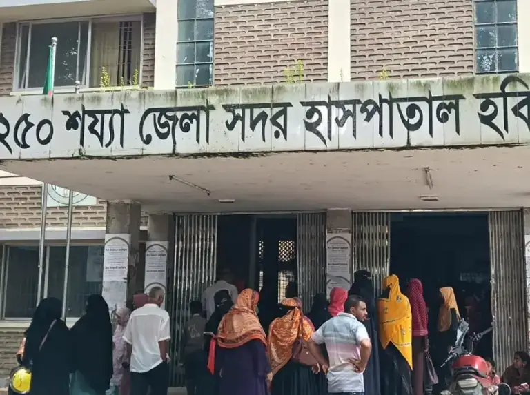 হবিগঞ্জে বেওয়ারিশ কু’কুরের কাম’ড়ে শিশুসহ শতাধিক আহ’ত