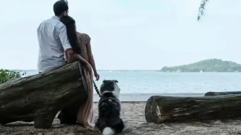 জন্মহার বাড়াতে অবিবাহিত কর্মীদের জন্য ম্যাচমেকিং সেবা চালু করল সিঙ্গাপুর